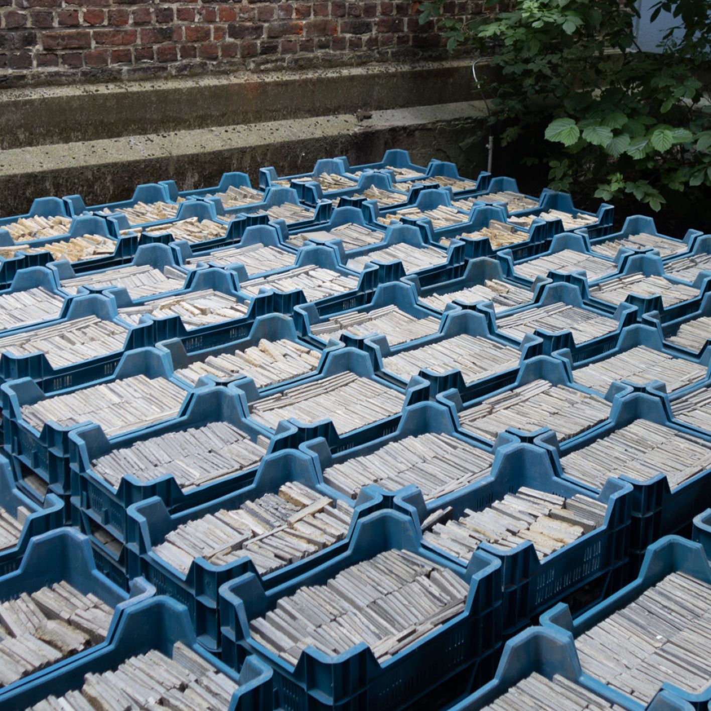 Odoo • Text and Image