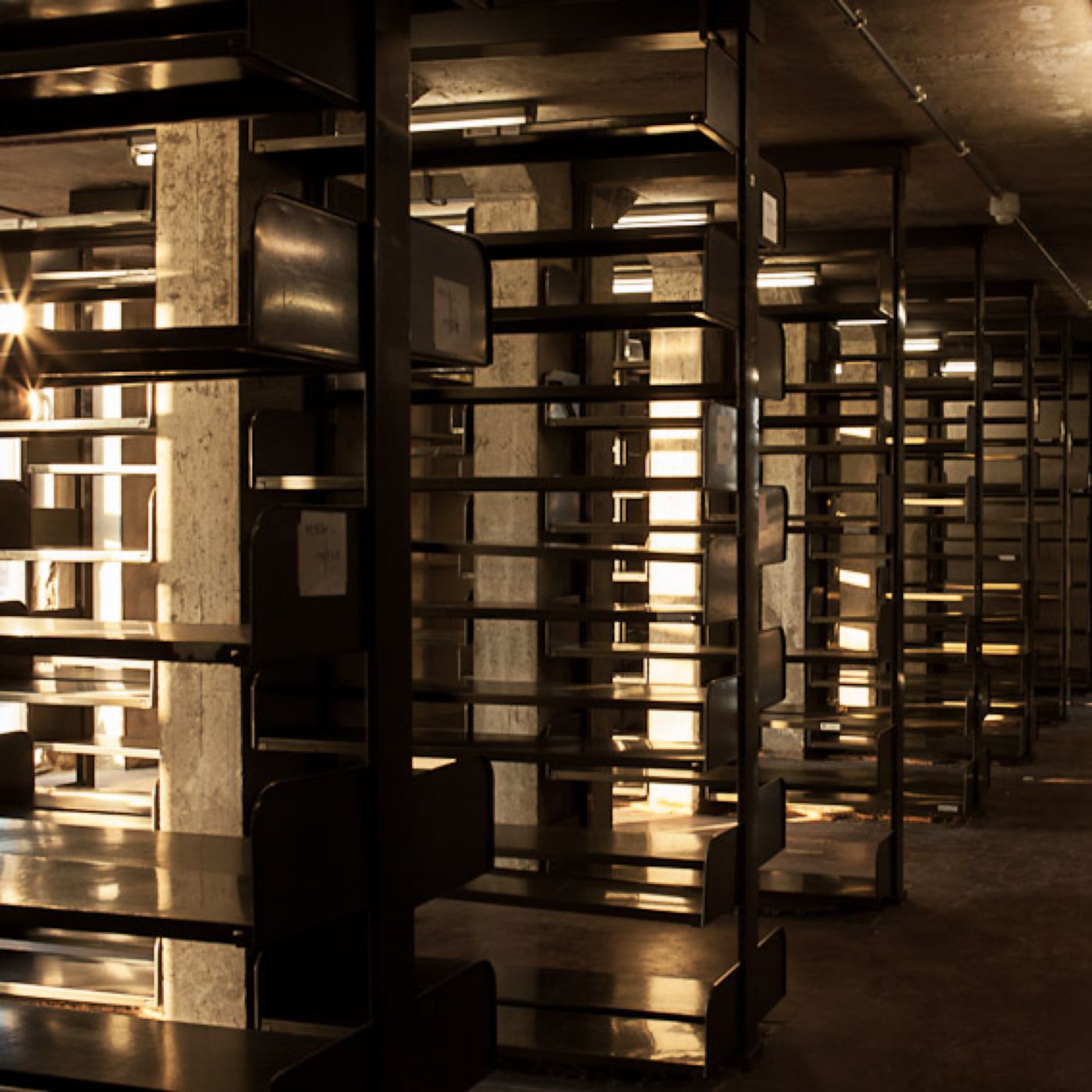 Odoo • Text and Image