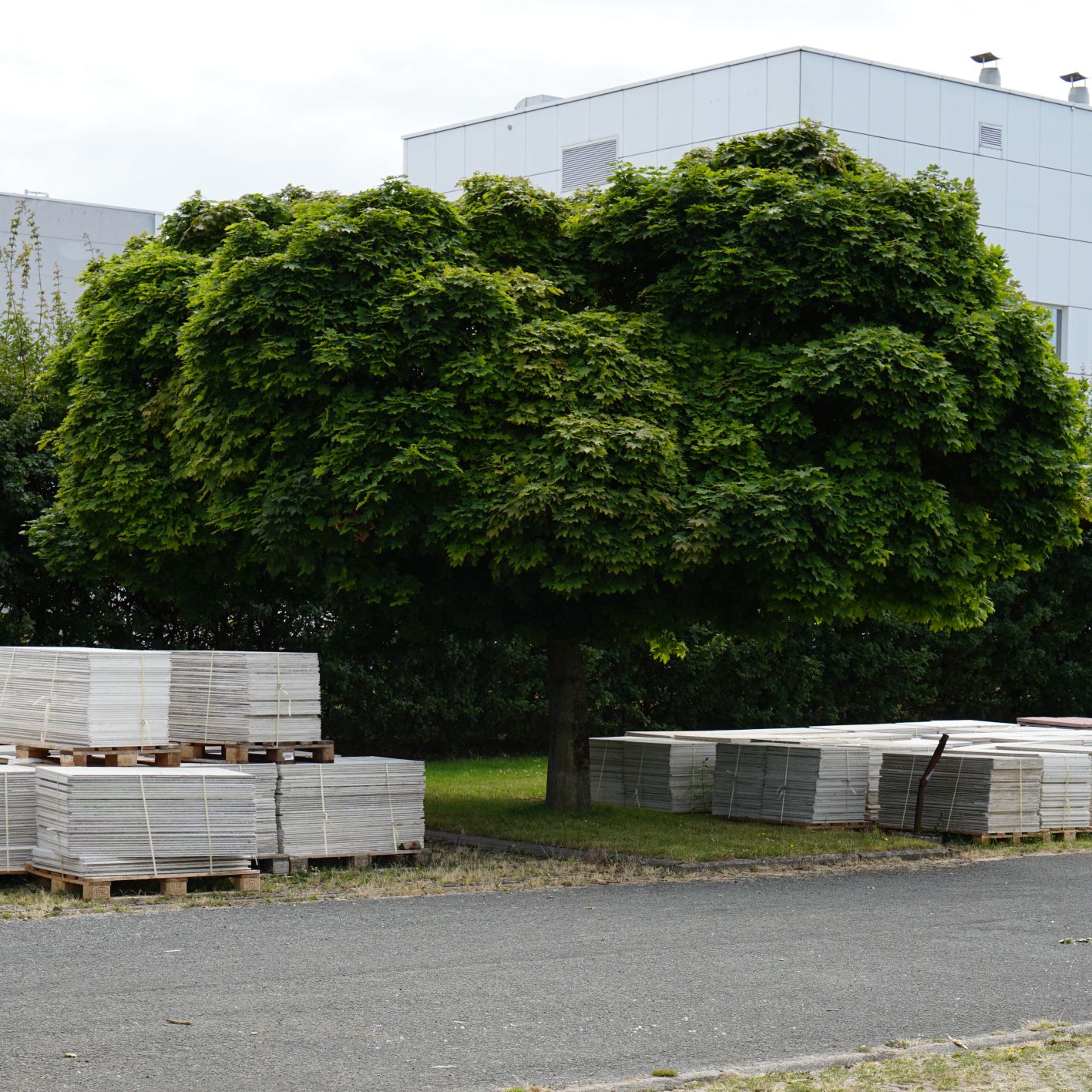 Odoo • Text and Image