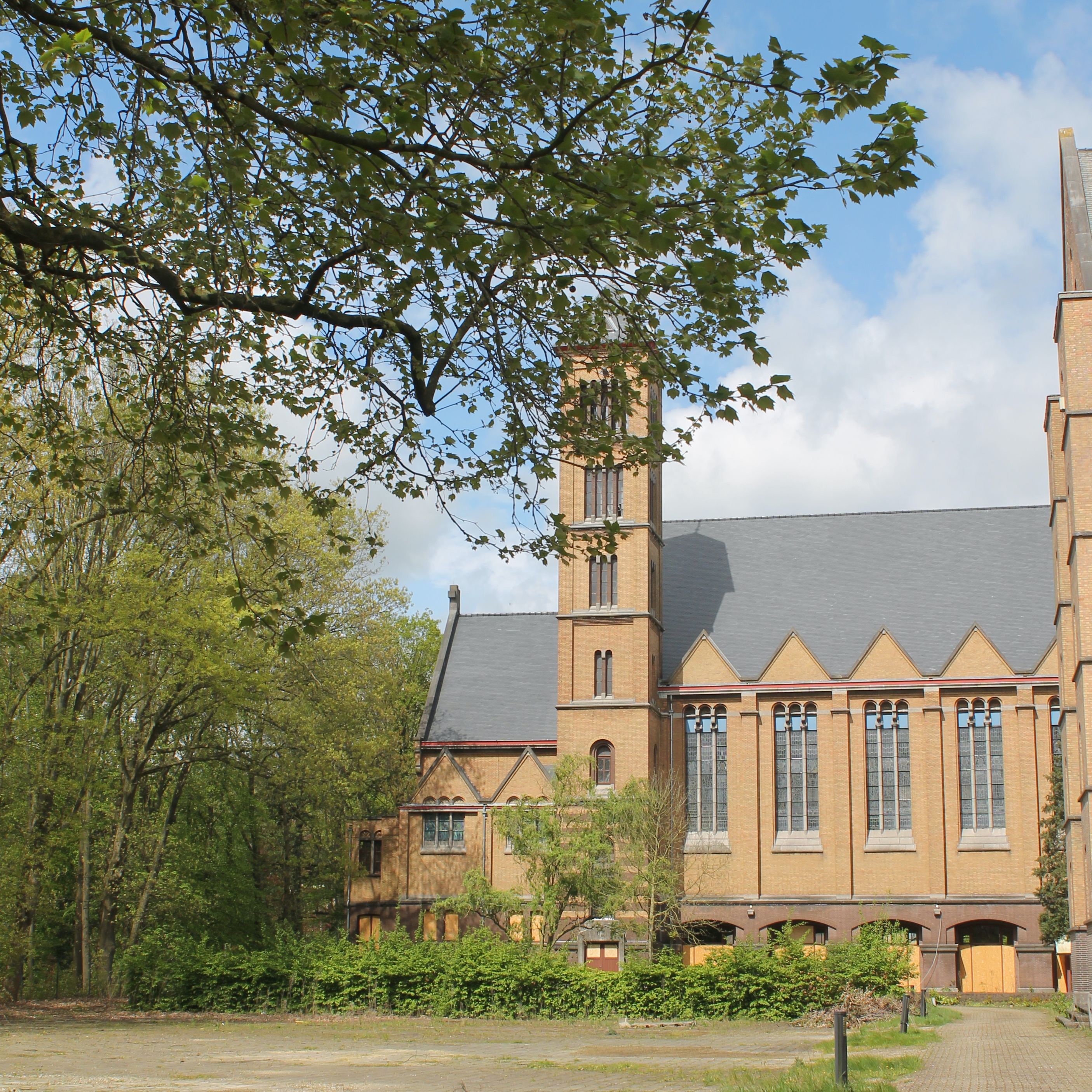 Odoo • Text and Image