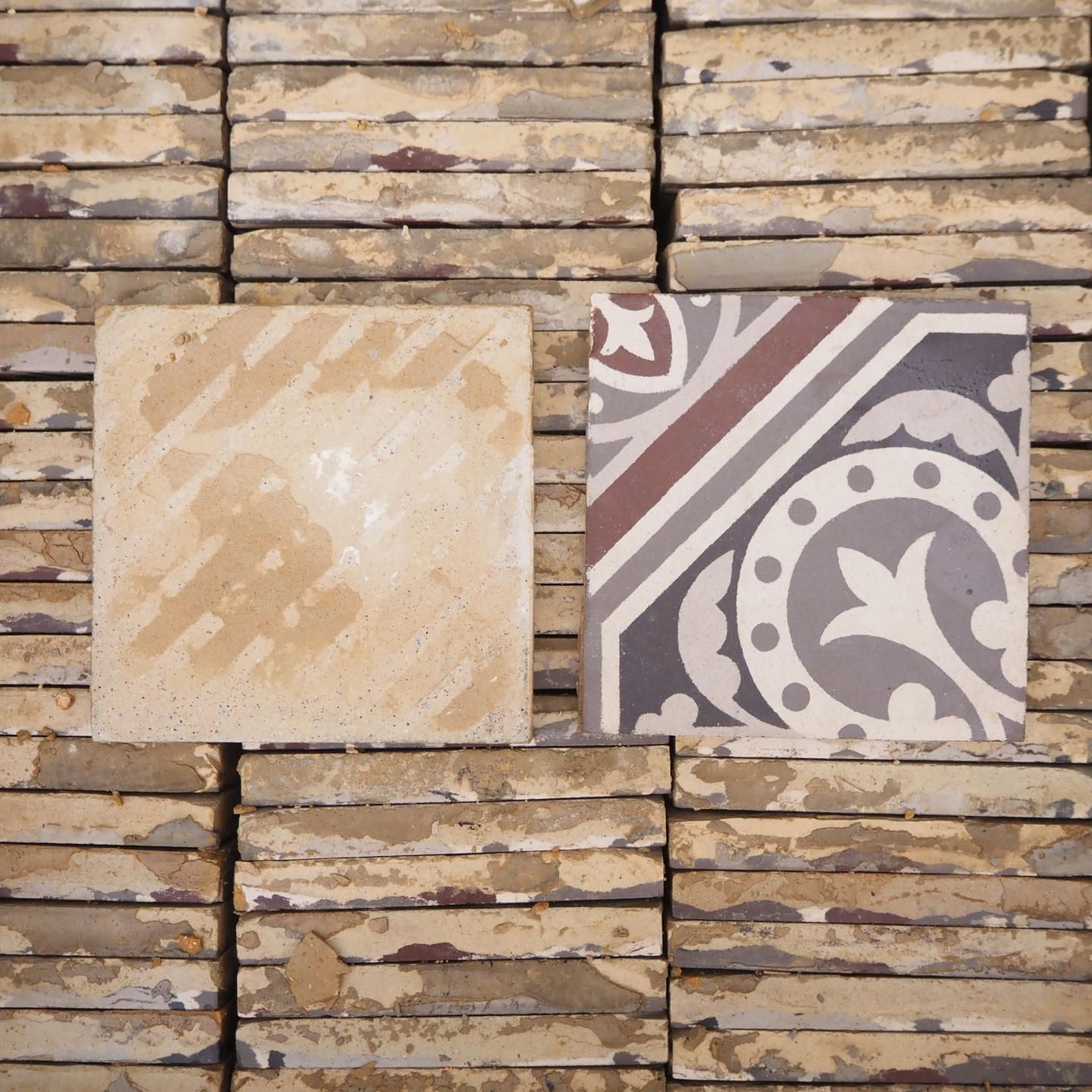 Odoo • Text and Image