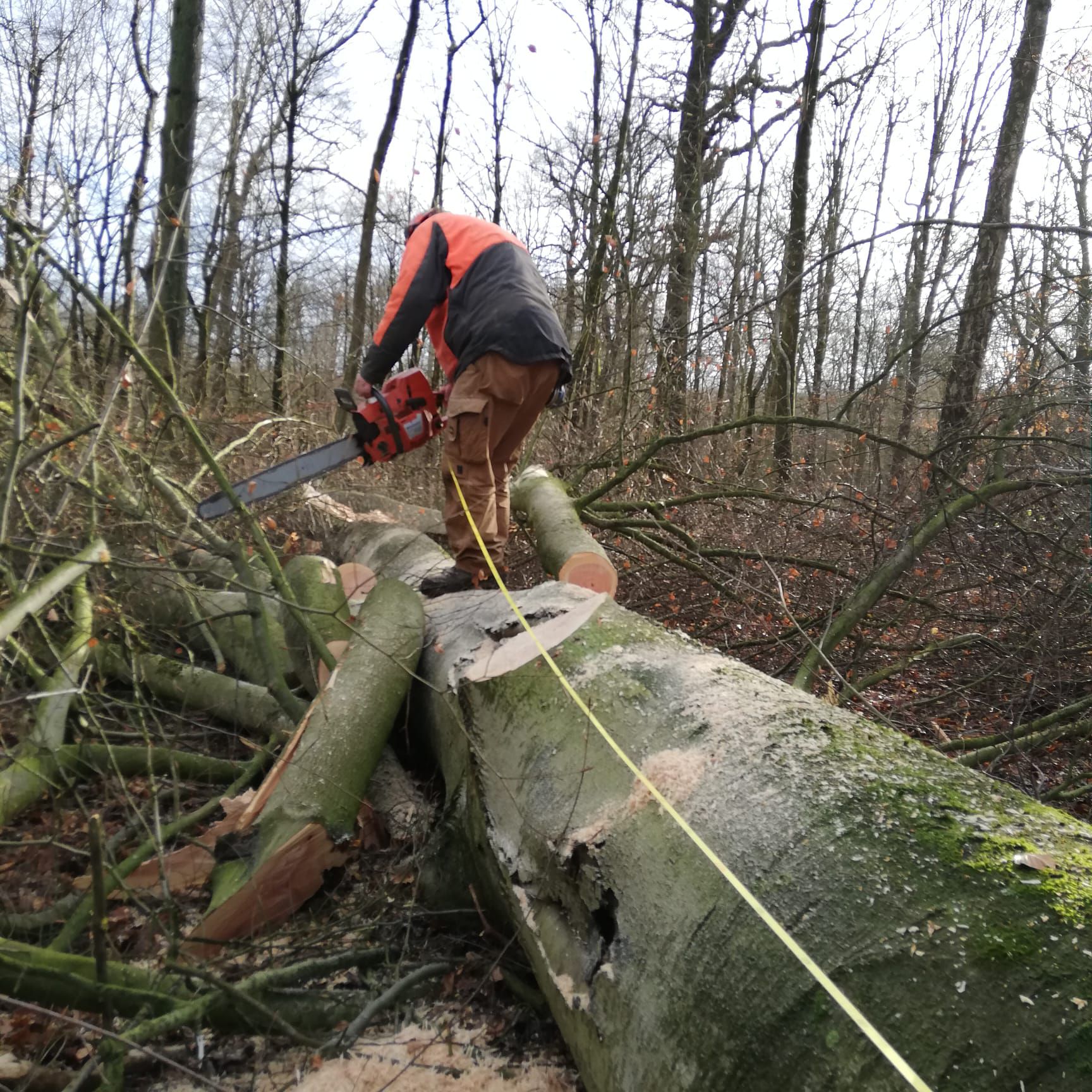 Odoo • Text and Image