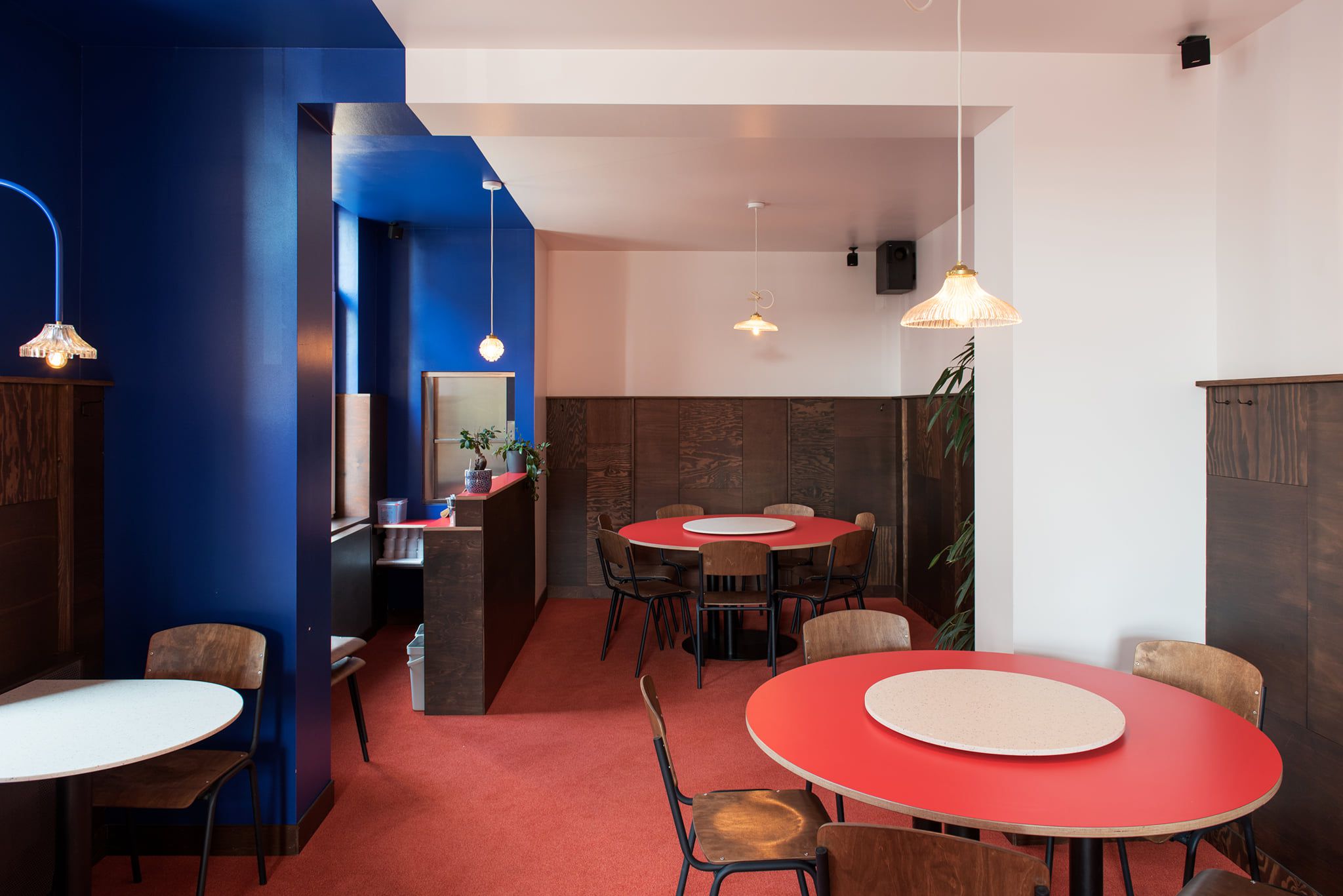 Odoo • Text and Image