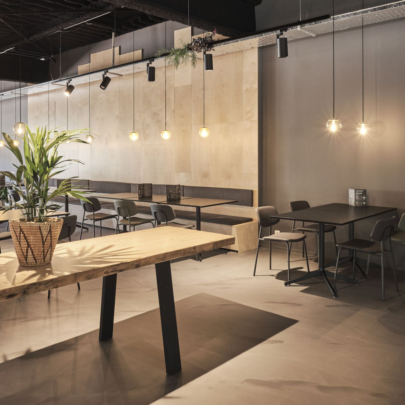 Odoo • Text and Image