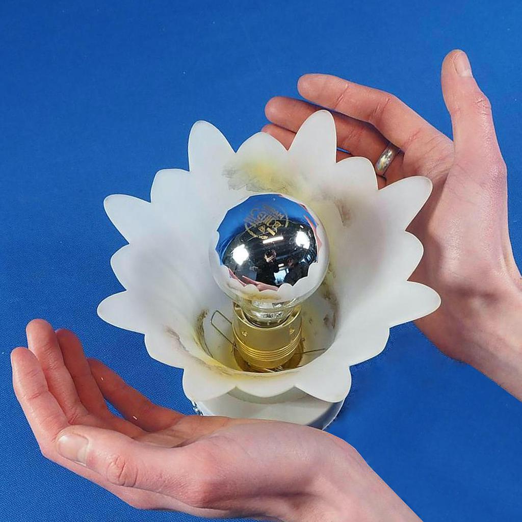 Wall/Ceiling light 'Amelia' in frosted glass