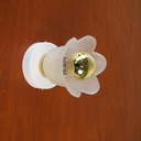 Wall/ceiling light 'Olivia' in frosted glass (copy)