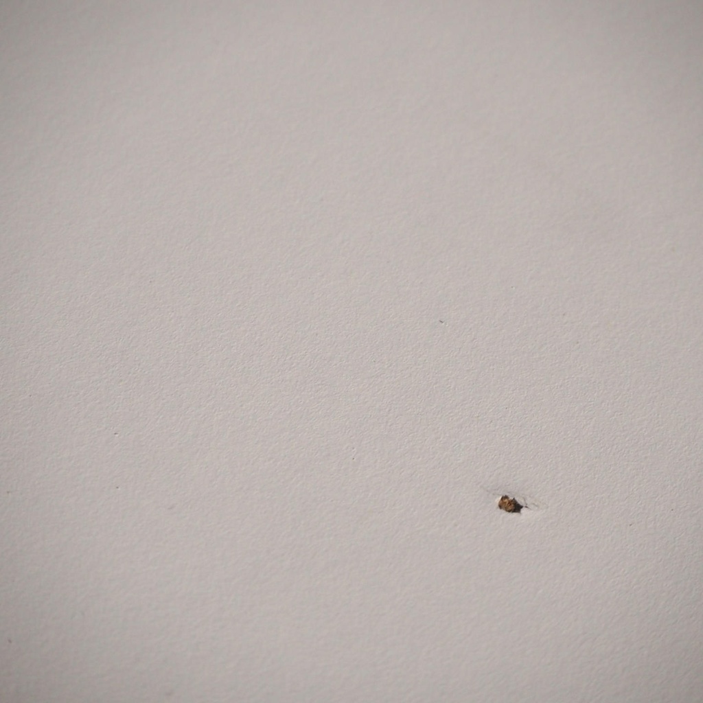 Office desk 'Project' by Drisag (200 x 80 cm) - Anthracite