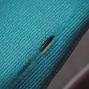 Cantilever chair 'Plus 376' by Kinnarps from Antwerp's Court of Appeal - Green