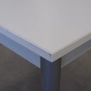 Table with laminated tabletop and powder coated steel legs (120 x 80 cm)