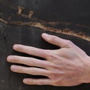 Glued laminated timber panel (L. ± 500 x W. 95 cm)