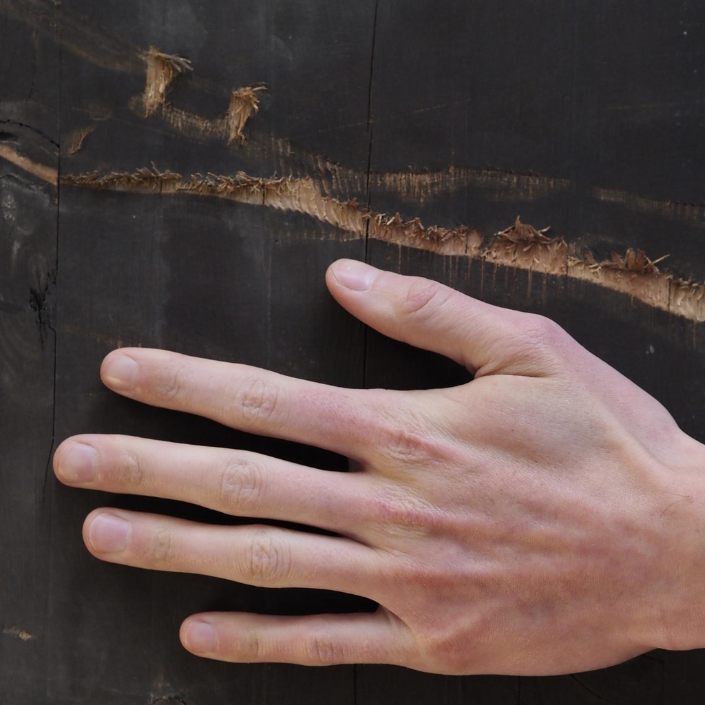 Glued laminated timber panel (L. ± 245 x W. 95 cm)