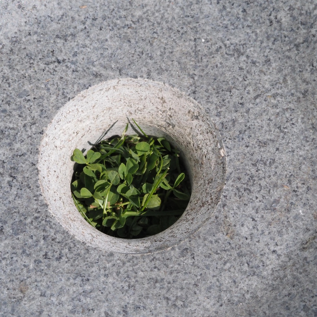 Square basin in natural stone (W. 44 cm) - Grey