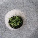 Square basin in natural stone (W. 44 cm) - Grey