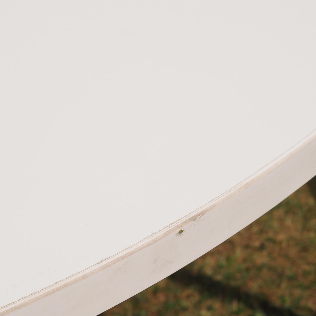 Office table on castors with oval laminated table top