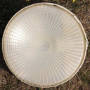 Wall/Ceiling light by Legrand in polycarbonate with porcelain socket (B22) - White