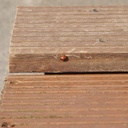 Bankirai terrace wood - Sold per linear meter