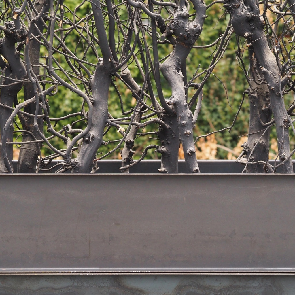 Partition in steel with decorative element 'Black Bush' by Christophe Gevers from the Générale de Banque (L. 510 cm)