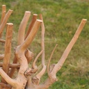 Partition in steel with decorative element 'Small Trees' by Christophe Gevers from the Générale de Banque (L. 800 cm)
