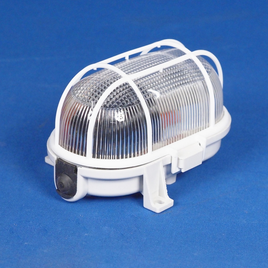 Caged wall/ceiling light with bakelite base and textured glass diffuser by L'ébènoïd