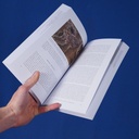 Book 'Hollow Land: Israel's Architecture of Occupation' by Eyal Weizman