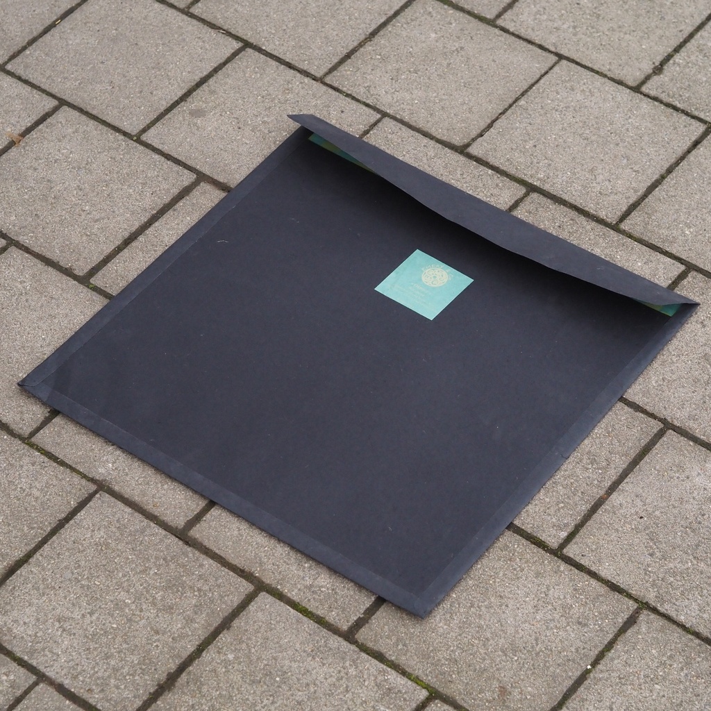 Set of wallpaper 'Orphée' by Emery&Cie (3,38 m²) - Green