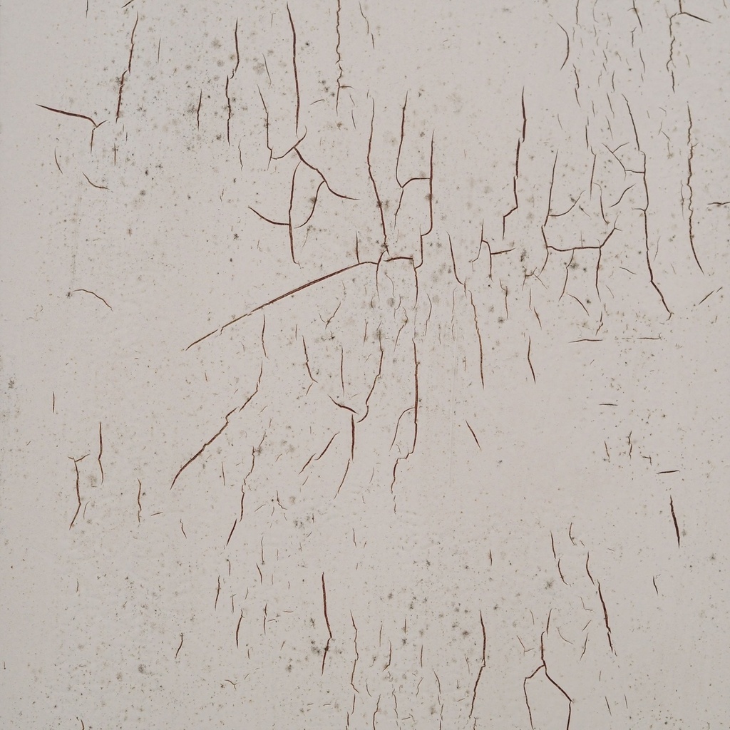 Double door in painted solid wood (H. 293,5 cm x W. 142 cm) - Right