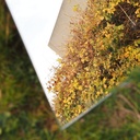 Rectangular mirror by Mirodan