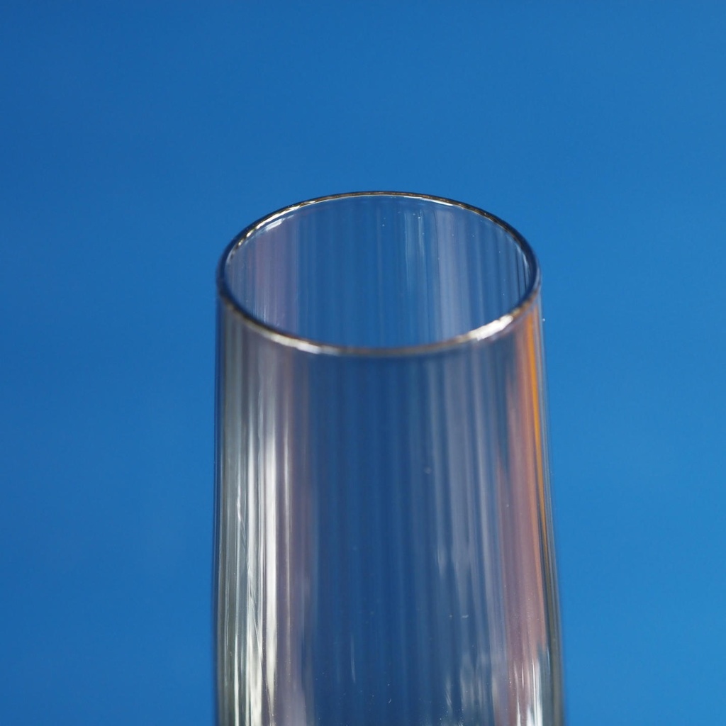 Set of 4 champagne glasses 'Ray' by Salt&Pepper (24 cl)