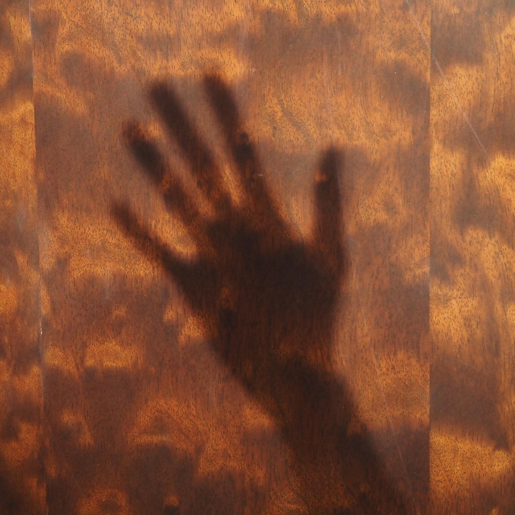 Door in veneered wood with bronze door handles by Jules Wabbes (H. 252,2 x 101 cm)