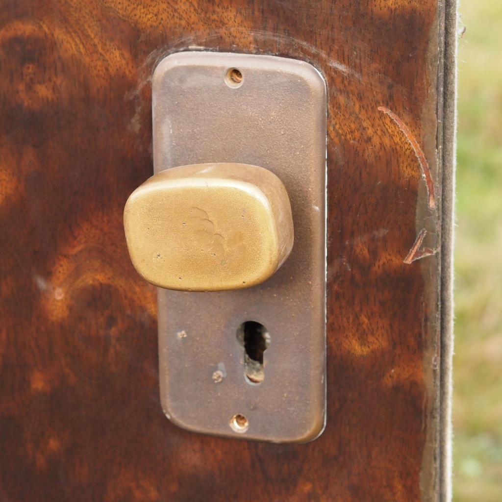 Door in veneered wood with bronze door handles by Jules Wabbes (H. 252,2 x 101 cm)