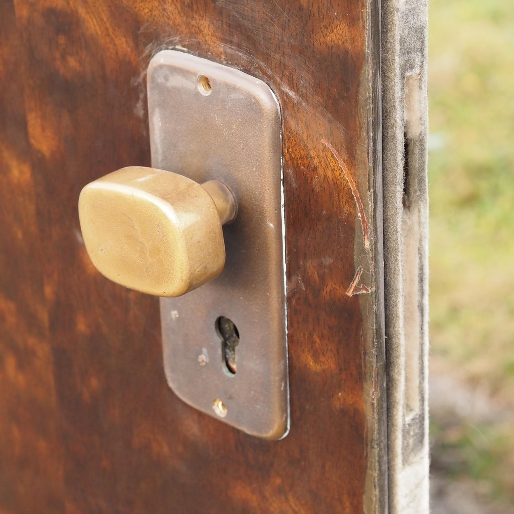 Door in veneered wood with bronze door handles by Jules Wabbes (H. 252,2 x 101 cm)