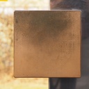 Glass door in stainless steel and bronze from the main entrance of the Générale de Banque(H. 235,5 x 108 cm)