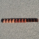 Handpainted glazed terracotta tile from the workshop of Agnès Emery (various sizes) - Only available in our physical shop