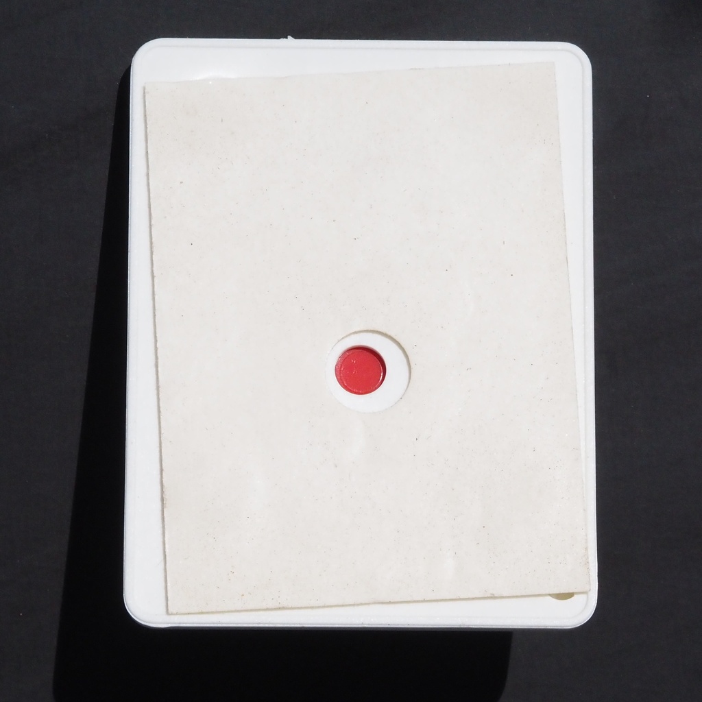 Wall hook with adhesive back