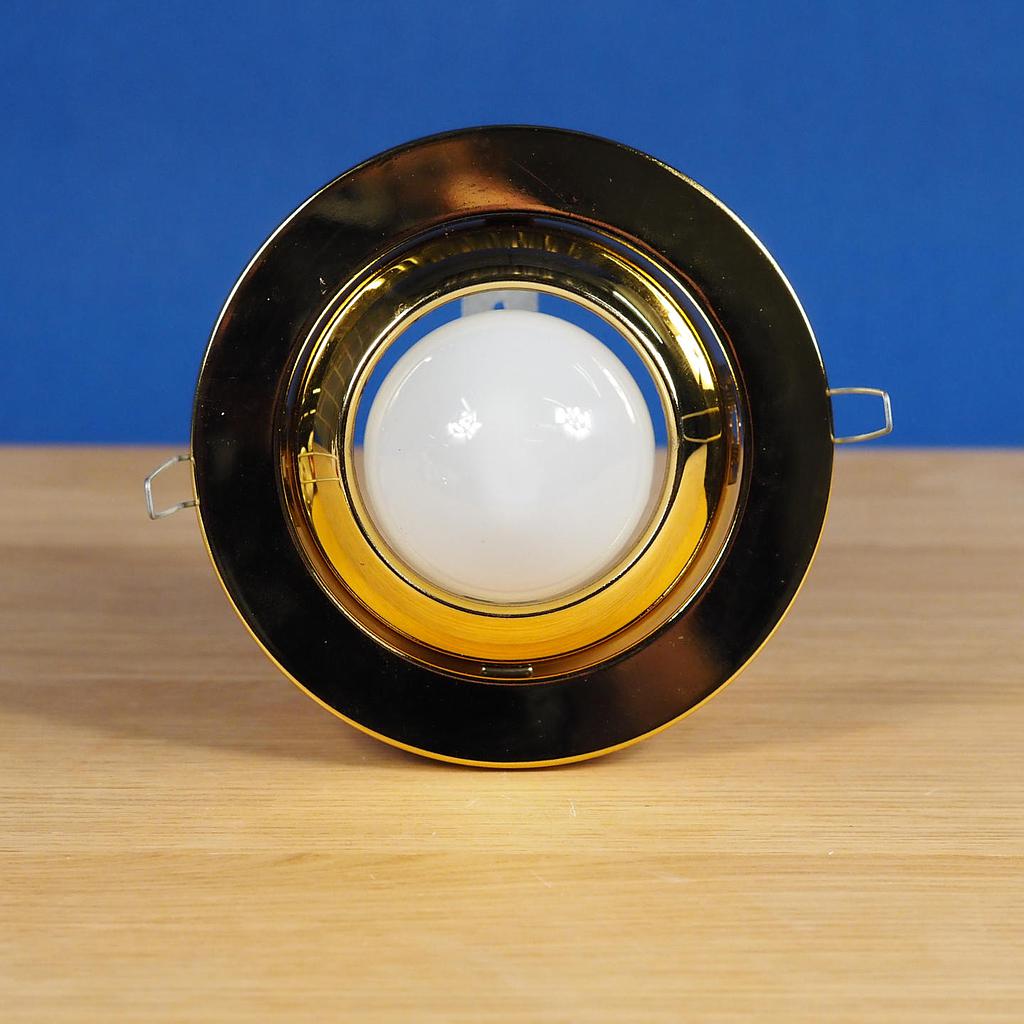 Adjustable recessed light with porcelain socket