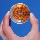 Lead test swabs