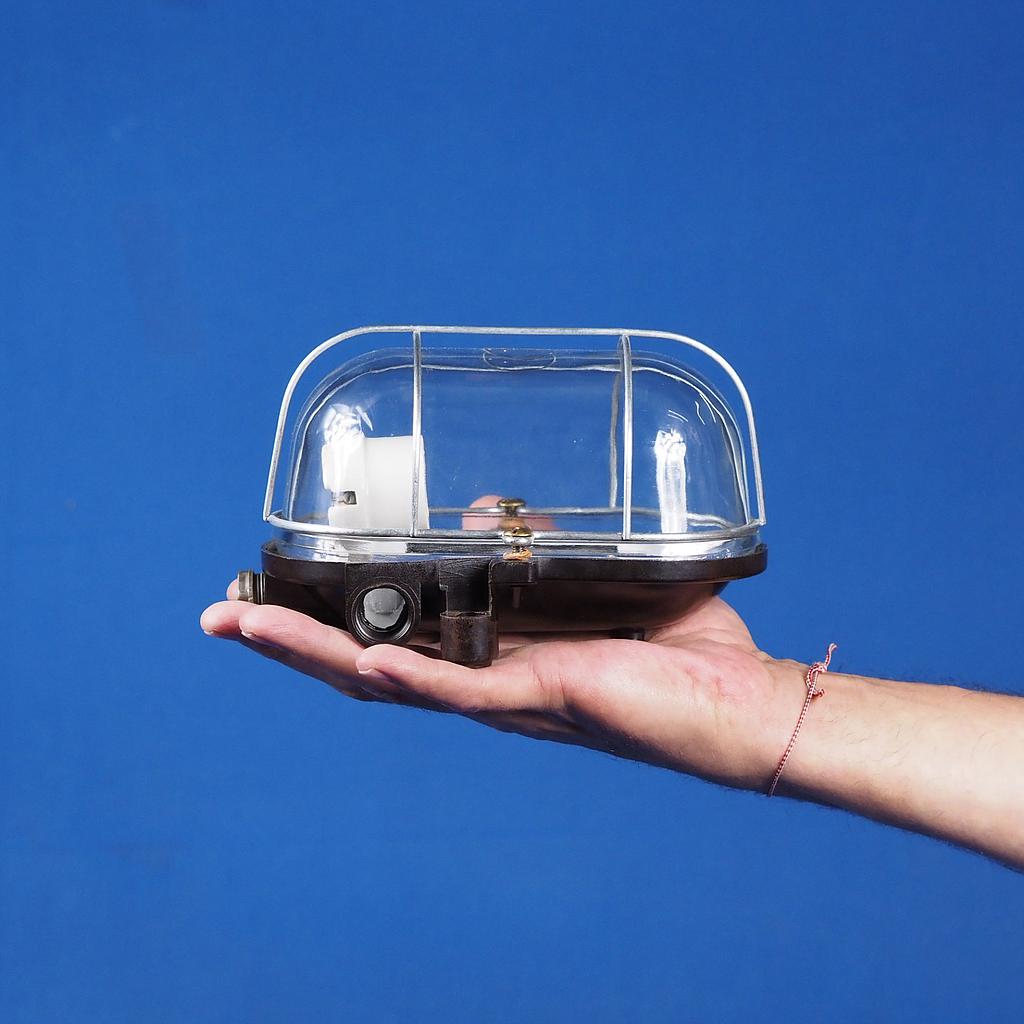 Caged wall/ceiling light with bakelite base, steel cage and clear glass diffuser (Bayonet)