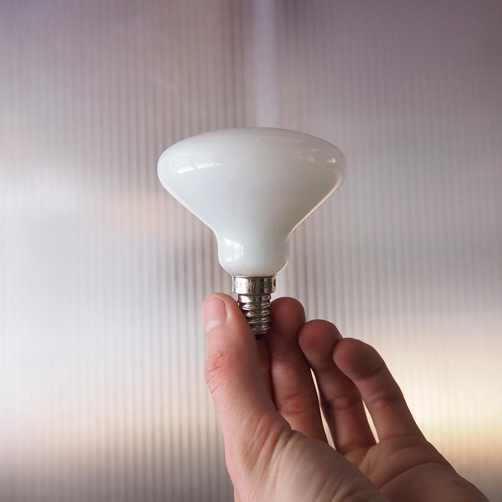 [8719699800052] Bulb 'Mushroom' Led by Pope (4W, E14, Dimmable)