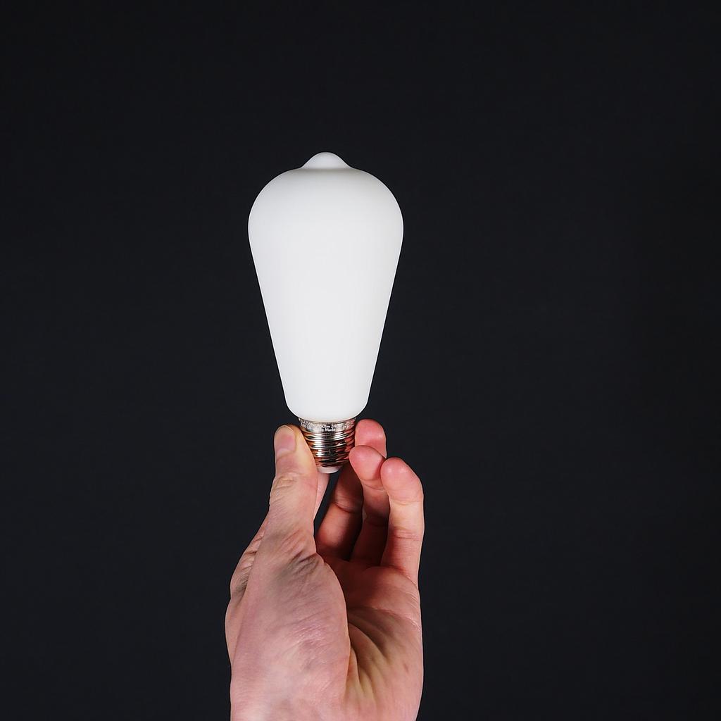 [8719172611076] Bulb 'Filament Led Edison 64MM' by Snoerboer (4,5W, E27, Dimmable) - Satin opal glass