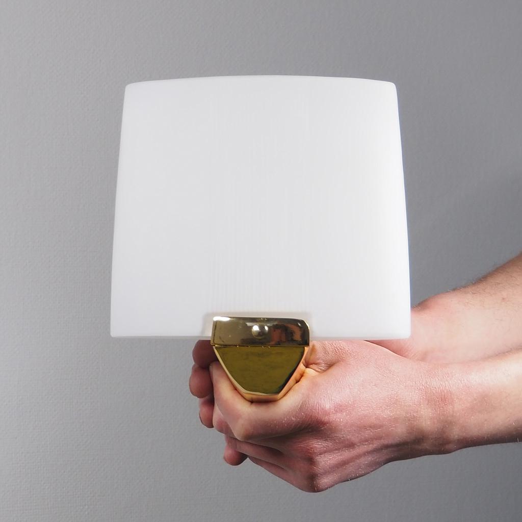 [206LIG657] Wall light 'Petaka MI5561' by Milan - Brass