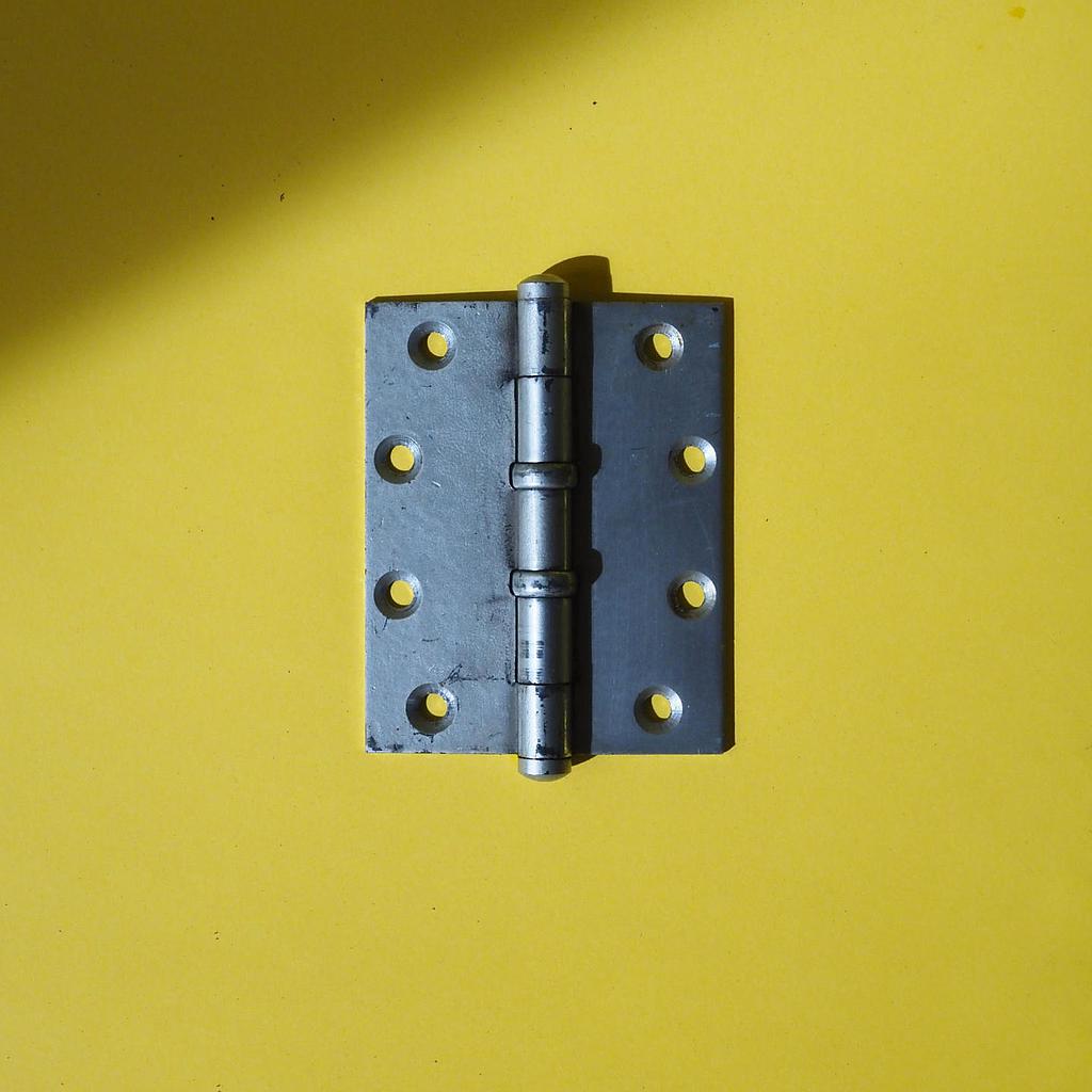 [999HAR999] Door hinge in steel by ERS Belgium