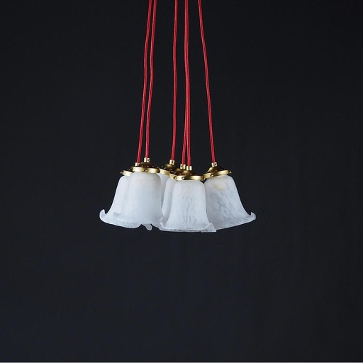 [999LIG1354] Hanging light 'Emile' bouquet