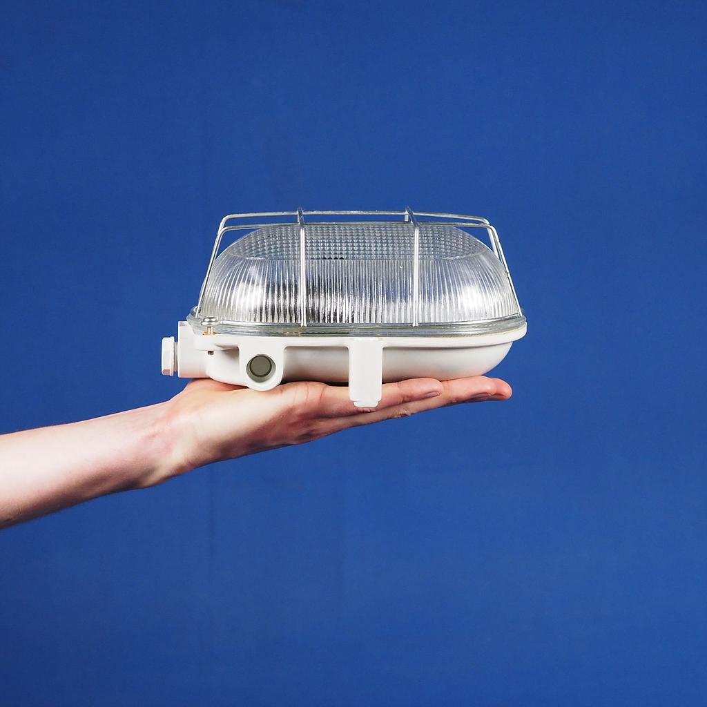 [999LIG1365] Caged wall/ceiling light with bakelite base and textured glass diffuser by L'ébènoïd - Steel cage (E27)