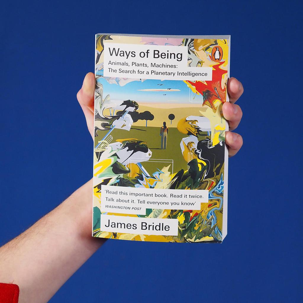 [998PUB165] Book 'Ways of Being' by James Bridle